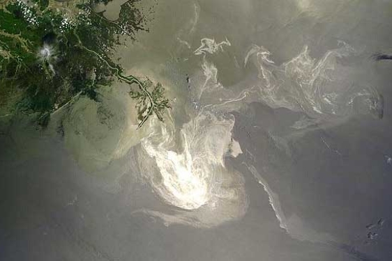 Photo of Gulf of Mexico Oil Spill