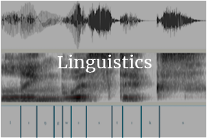 Linguistics