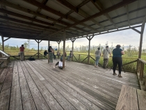 photo of people on covered platform near swamp