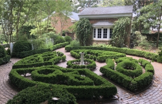 photo of English privet hedge garden, day