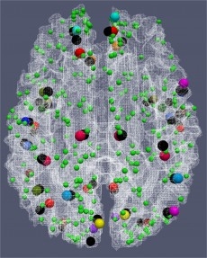 brain map