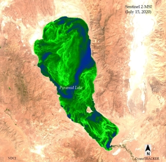 satellite photo of lake with large green patch of algae