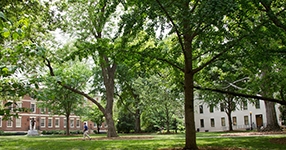 UGA North campus with trees