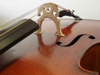 cello close up