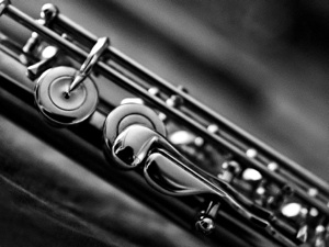 flute close up