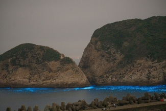 photo of land and sea with light blue shoreline