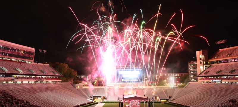 photo off fireworks in stadium, night sky