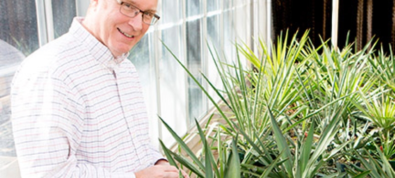 man with spiky plants 