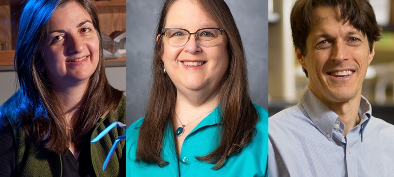 three headshot photos with two women, one man