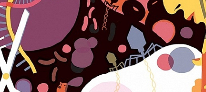 gene graphic