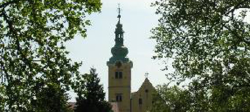 building with trees
