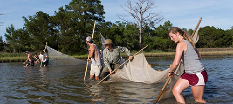 photo of people in a river with nets