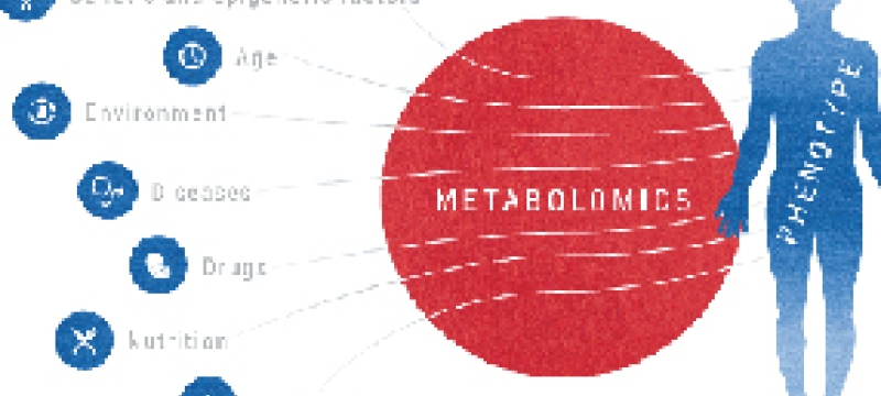 body health graphic