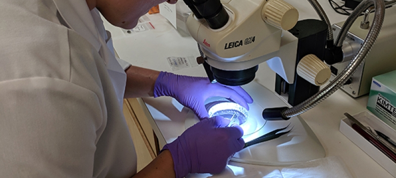 photo of woman with microscope and sample