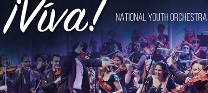 orchestra action photo