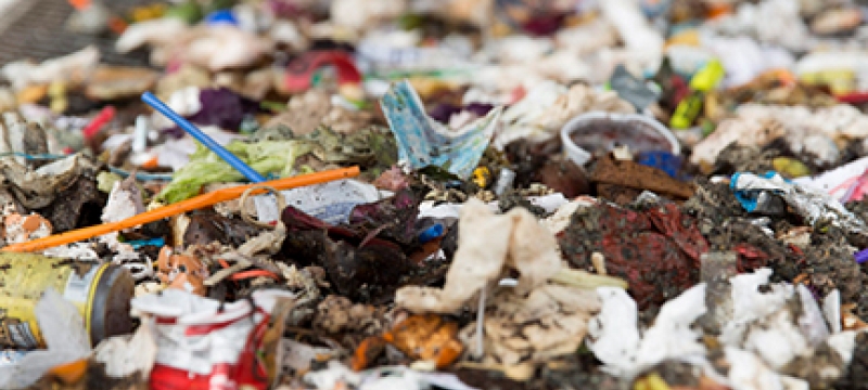 photo of garbage on a conveyor