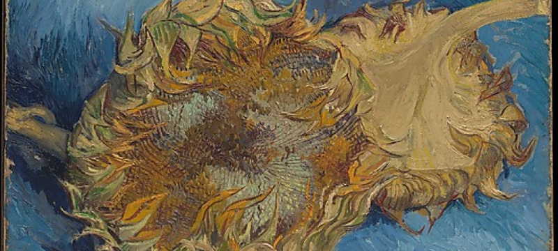 van Gogh's Sunflowers