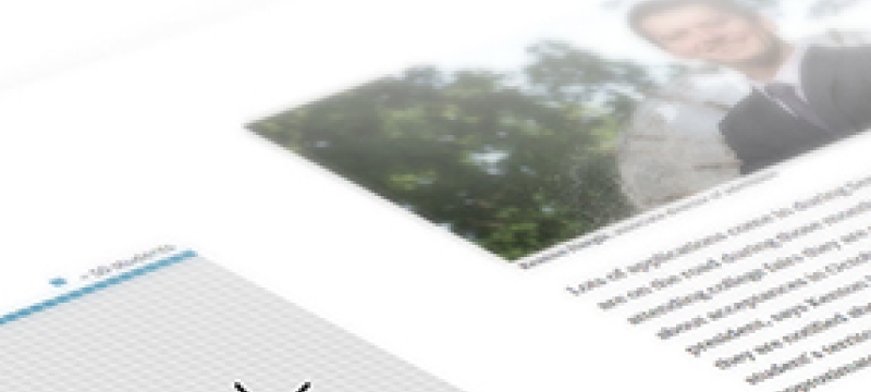 infographic image