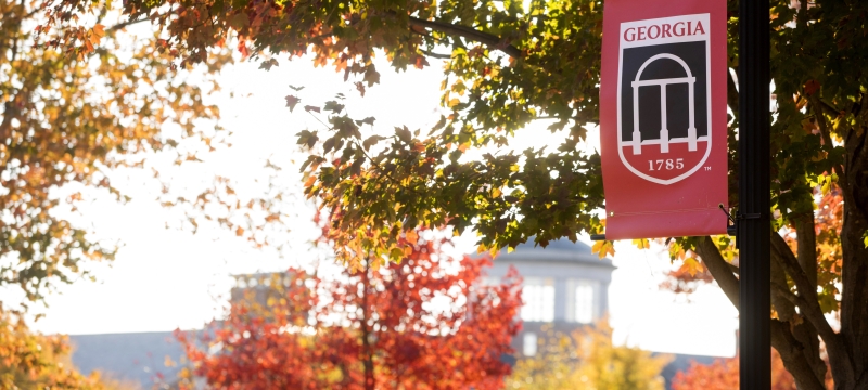 photo of foliage and banner with cupola