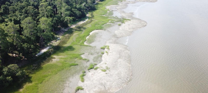 aerial photo of coastline in daylight