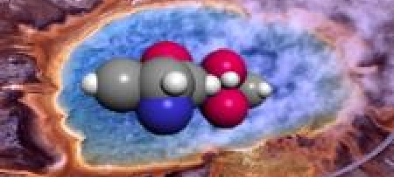 priomordial soup