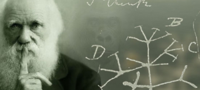 Charles Darwin