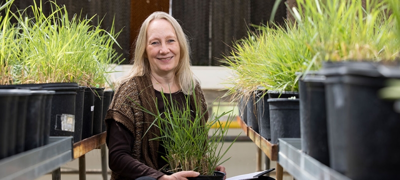 photo of woman with potted grass plants