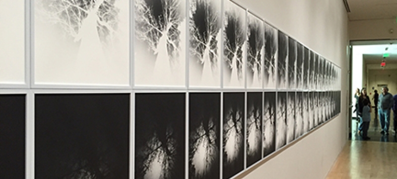 b/w prints framed on a wall
