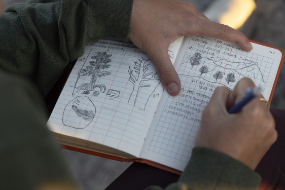 photo of hands writing,. drawing in journal