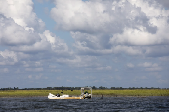 photo of sea, clouds, sky and marsh, with boat day