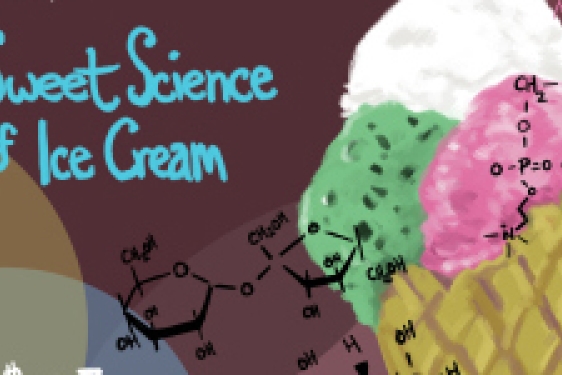 ice cream graphic