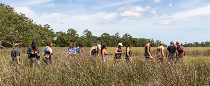 photo of people walking in marsh, day
