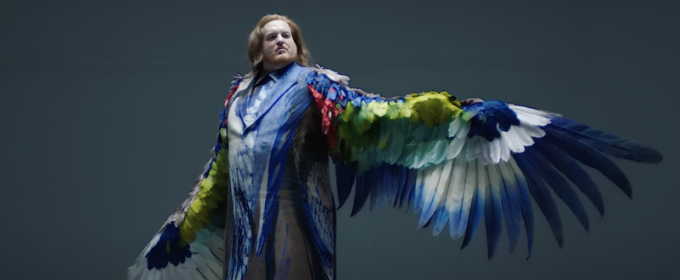 photo of man in costume with large colorful wings