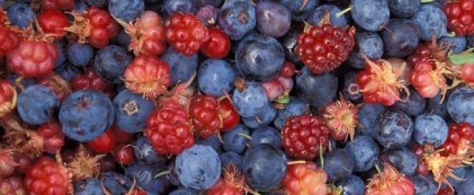 blueberries and strawberries