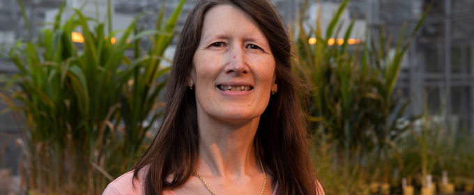 photo of woman in greenhouse