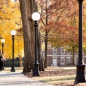 photo of sidewalk and trees with yellow leaves